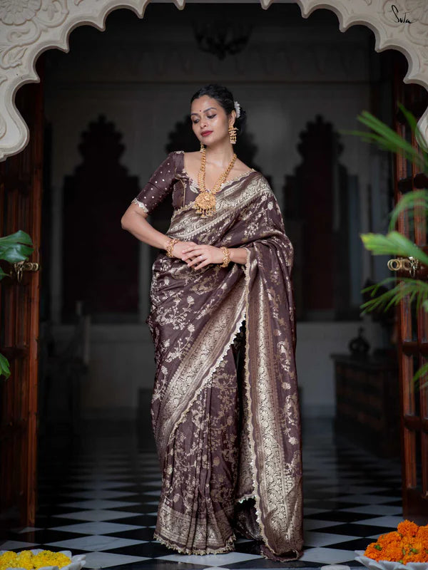 Brown Viscose Jaal Saree with Embroidered Lace