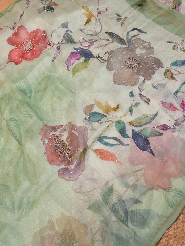 Handwoven Pastel Green Banarasi Organza Silk Saree | GYSY Sarees